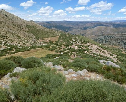 Barquilla_morrénica_izquierda_del_Pinar