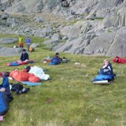 Desperamiento_general