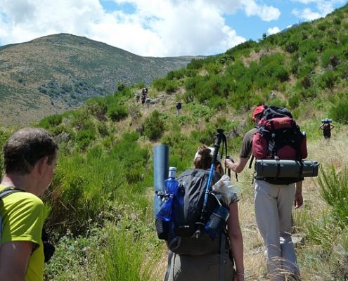 Entrando_a_media_ladera_en_la_garganta_del_Pinar
