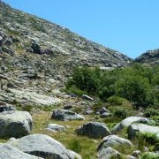 La_larga_y_calurosa_bajada_por_Navamediana