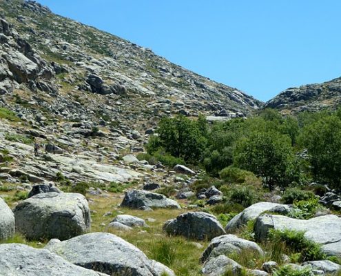 La_larga_y_calurosa_bajada_por_Navamediana