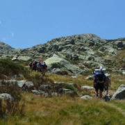 P1070885_Zona_alta_de_la_garganta_de_los_Caballeros