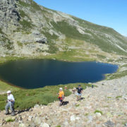 P1070903_Ascendiendo_por_la_falda_del_Risco_de_la_Ventana_hacia_la_Covacha