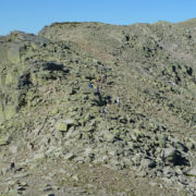 P1070959_Canchales_cimeros