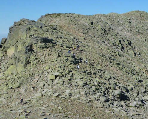 P1070959_Canchales_cimeros