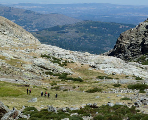 P1080002_Un_grupo_se_adelanta_para_recoger_los_coches