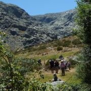 P1080013_Atravesando_pastizales_con_la_garganta_al_fondo