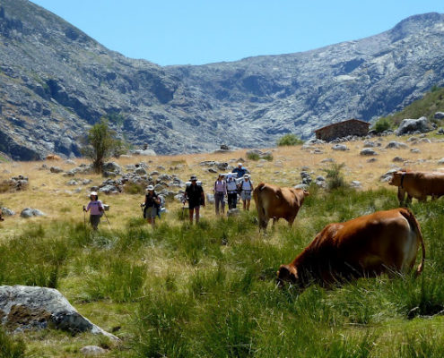 P1080017_Praderas_y_roquedos