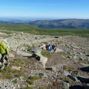 Planicies_cimeras._En_camino_al_Meapoco._Al_fondo_el_ref