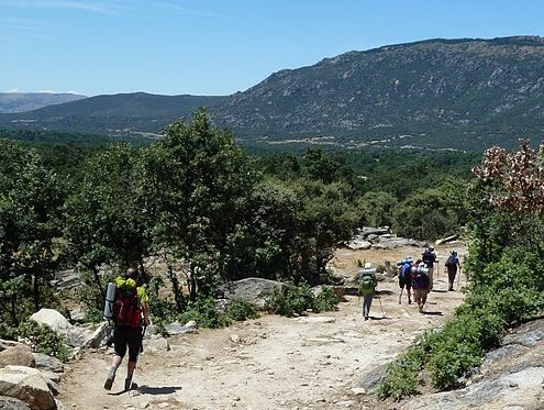 Robledales_en_la_parte_final_de_la_garganta