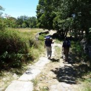 Sendero_enlosado_en_las_cercanías_del_pueblo_de_Navamed