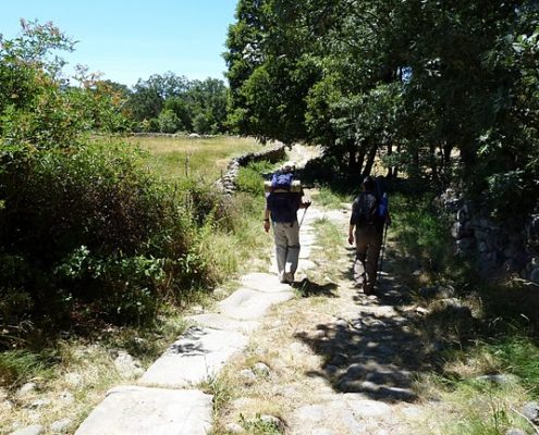 Sendero_enlosado_en_las_cercanías_del_pueblo_de_Navamed