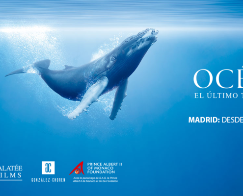 Océanos: la exposición. El último territorio salvaje.