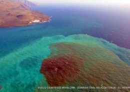 Islas. Laboratorios de evolución independientes