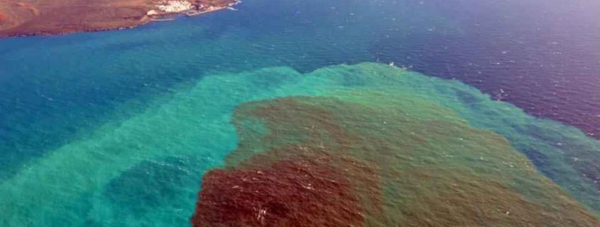 Islas. Laboratorios de evolución independientes