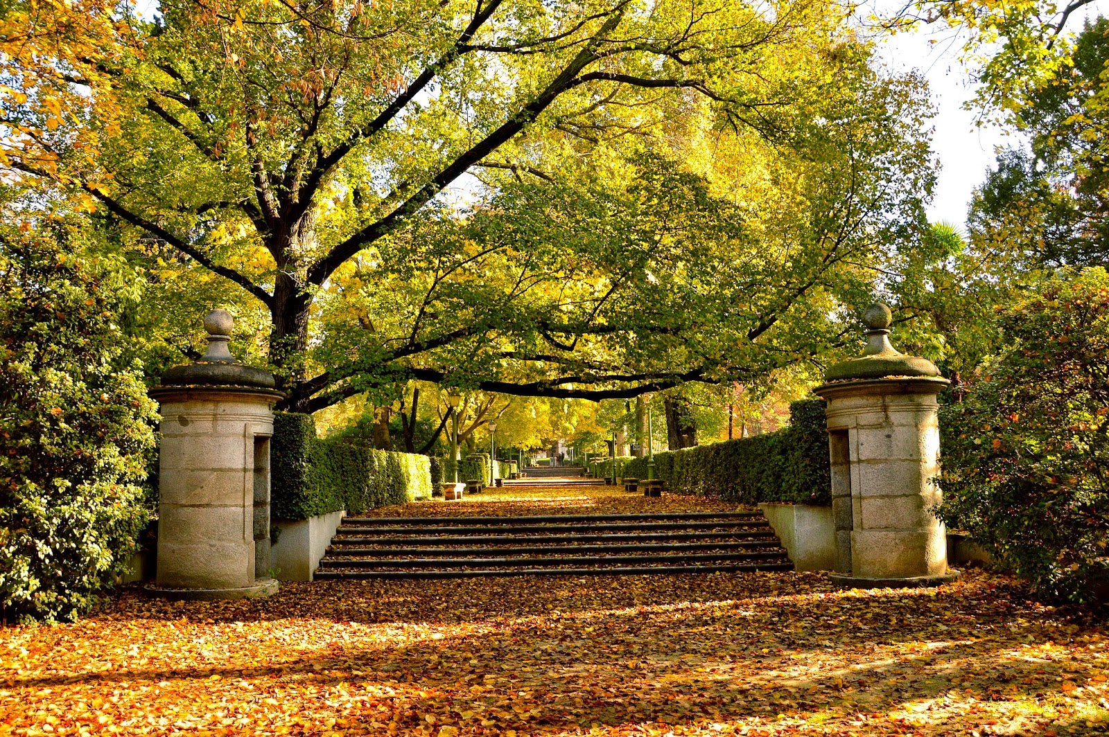 Patrimonio verde urbano: el Real Jardín Botánico en otoño