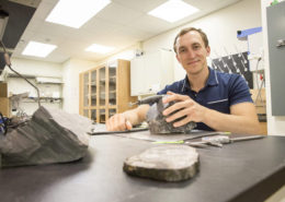 hallados restos de árboles en la antártida