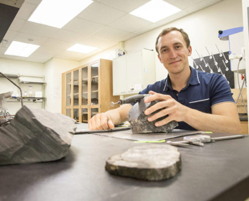 hallados restos de árboles en la antártida