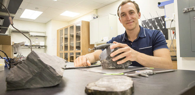 hallados restos de árboles en la antártida