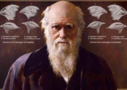 Teoría de la Evolución de Darwin