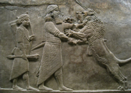 fauna africana fuera de áfrica