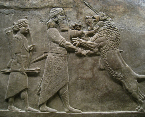 fauna africana fuera de áfrica