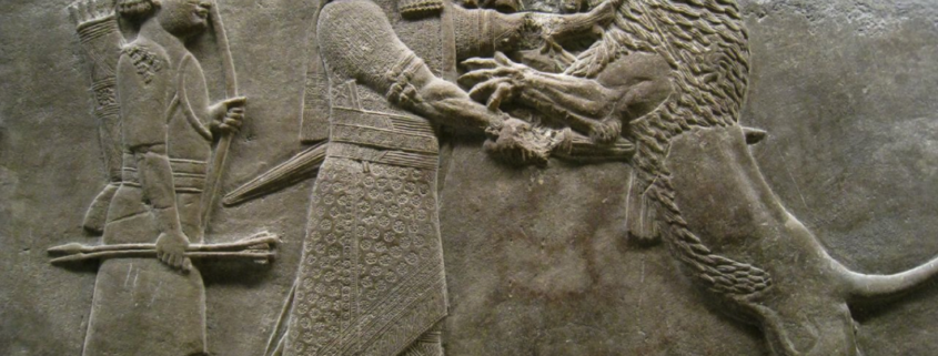 fauna africana fuera de áfrica