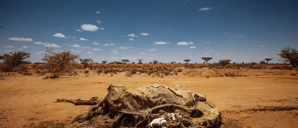 1. desolación lago chad