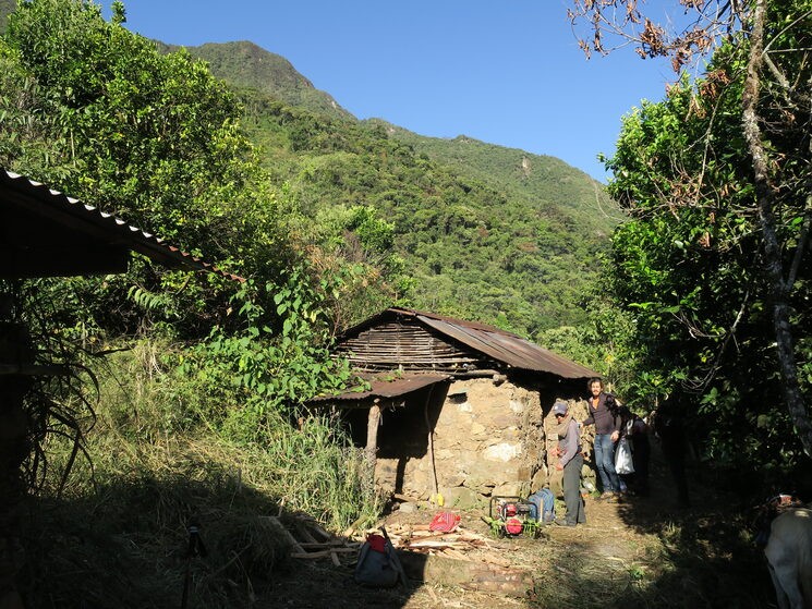 Chacra de la familia Huamán y en lo alto nuestro objetivo