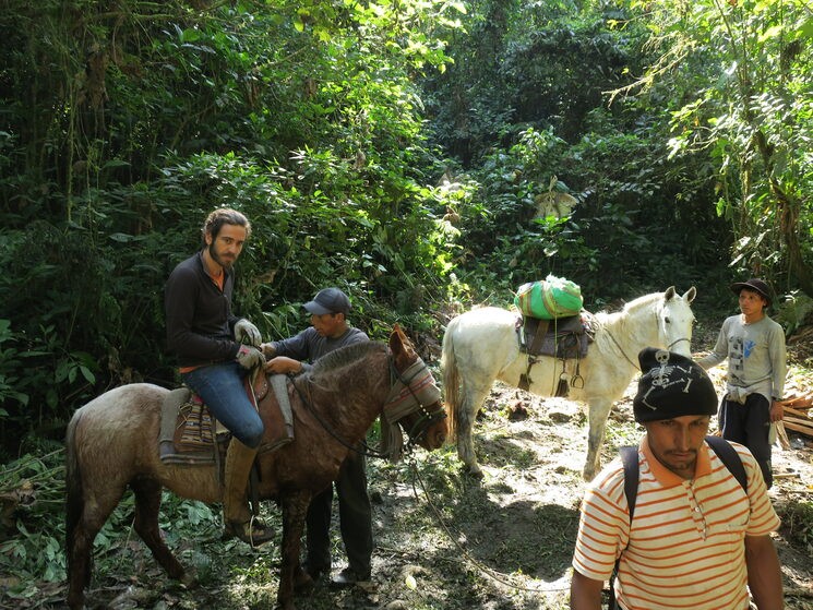 Emprendiendo el regreso