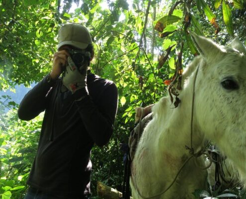 iniciando el regreso