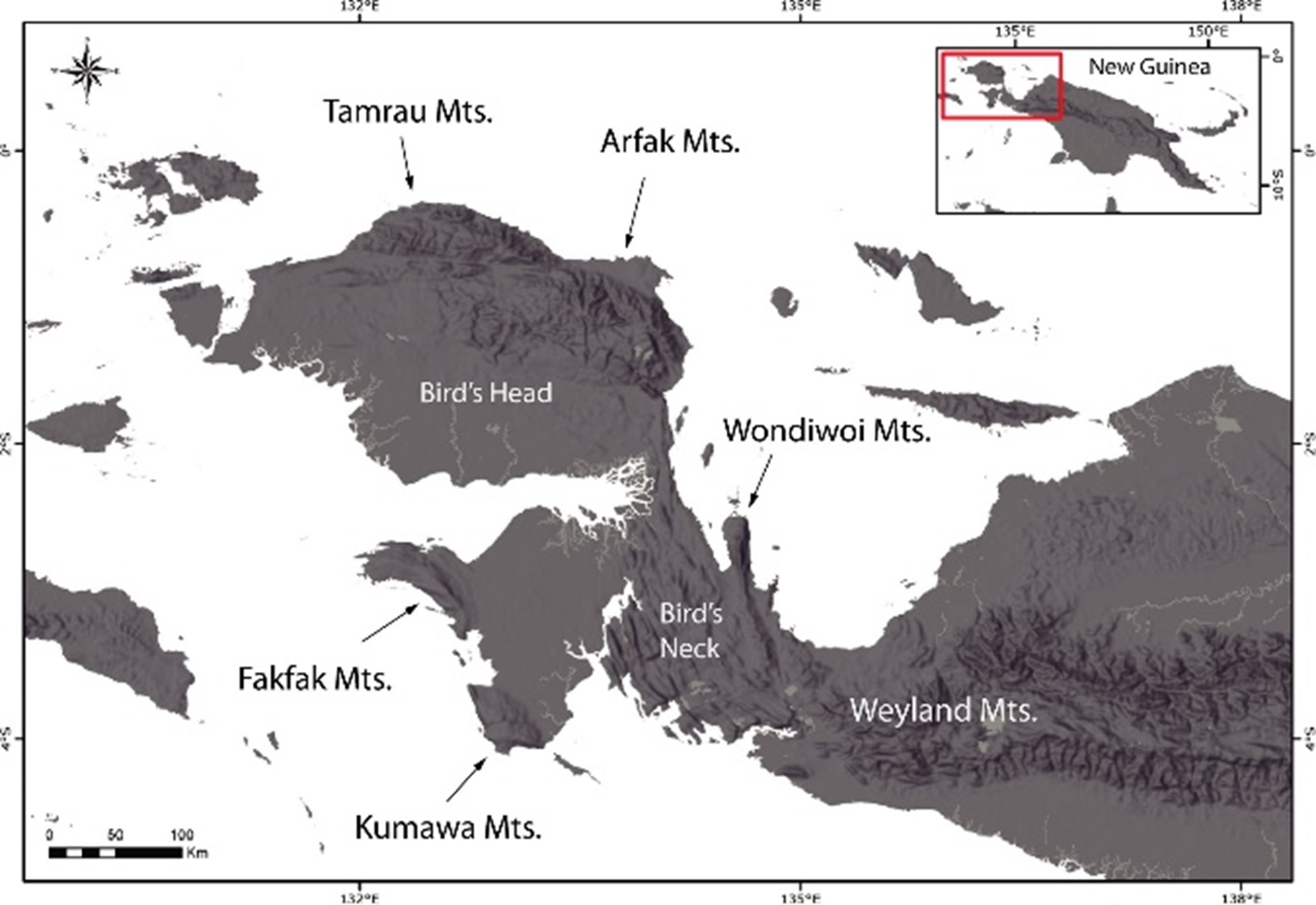 Mapa de la región del Vogelkop, o “cabeza de pájaro” en Nueva Guinea