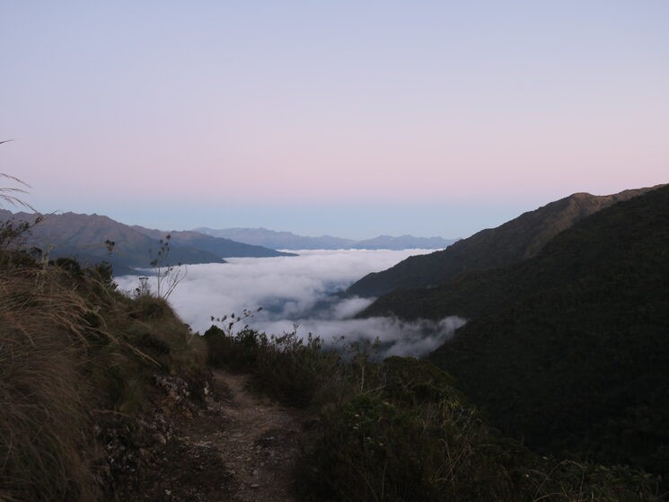ruta de salida de los cargamentos de café y yuca