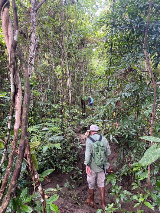 Toca recorrer y abrir senderos por los montes bajos en Batanta. Foto: Borja Milá