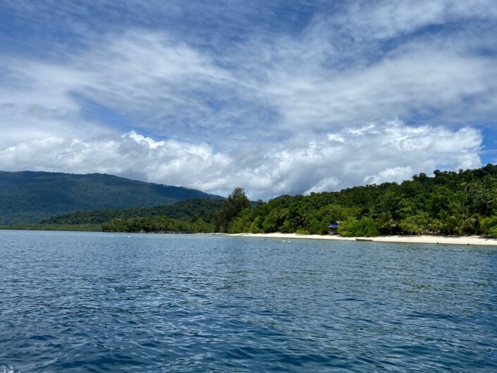 Batanta está completamente cubierta de bosque. Es como estar en otro siglo... Foto: Borja Milá
