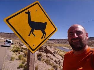 En la carretera que bordea el Sajama