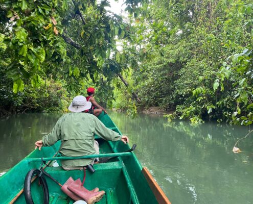 Exploración ornitológica en la isla de Batanta. Foto: Borja Milá