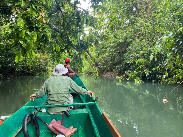 Exploración ornitológica en la isla de Batanta. Foto: Borja Milá