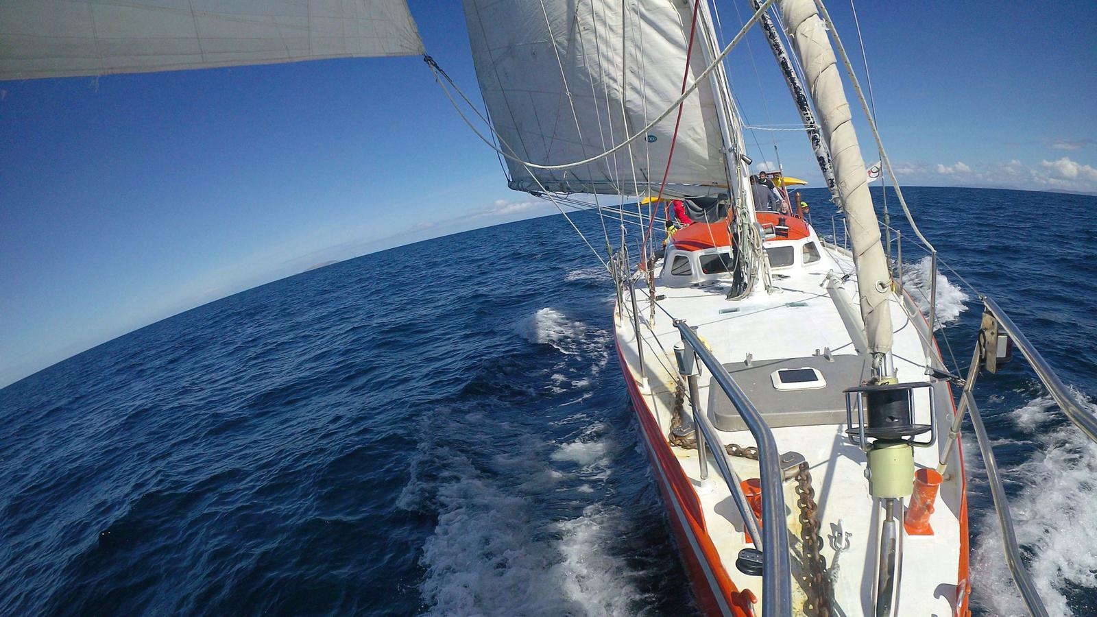 cadf0821-1b43-4e0d-8670-257a9870ee13